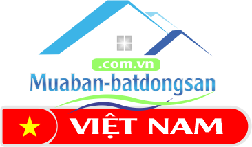 Công ty TNHH Mua bán bất động sản Việt Nam